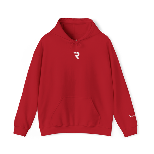 #44 Lewis Hamilton Graphic Hoodie