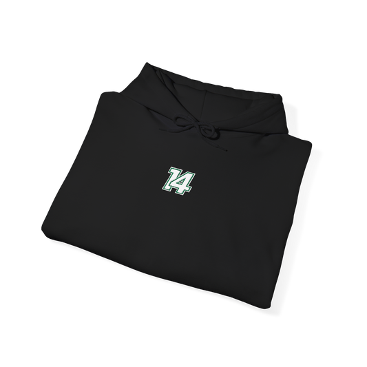 #14 Fernando Alonso Embroidered Hoodie - Black
